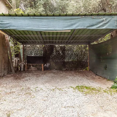 Loft Vicino A Dei Marmi アパート セラヴェッツァ