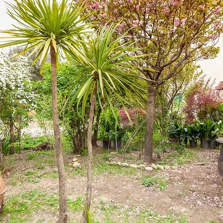 Apartment Loft Vicino A Dei Marmi Seravezza