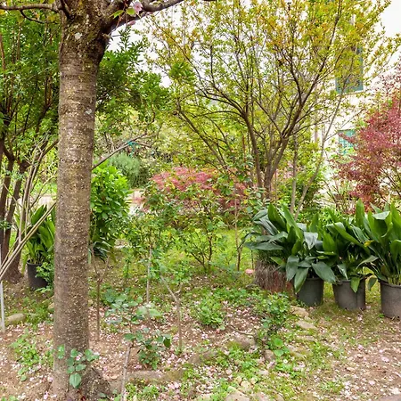 アパート Loft Vicino A Dei Marmi